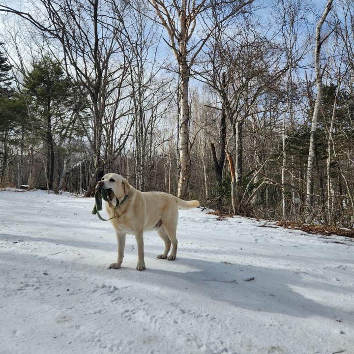 D2368a10 ccb6 4d99 aa93 5ee6400aefbf 1770349077470