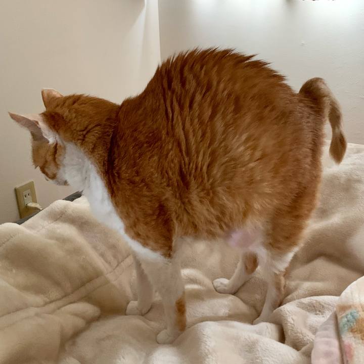 D236d677 6c07 4fe0 b3f6 64444dd3abc7 1682419551205