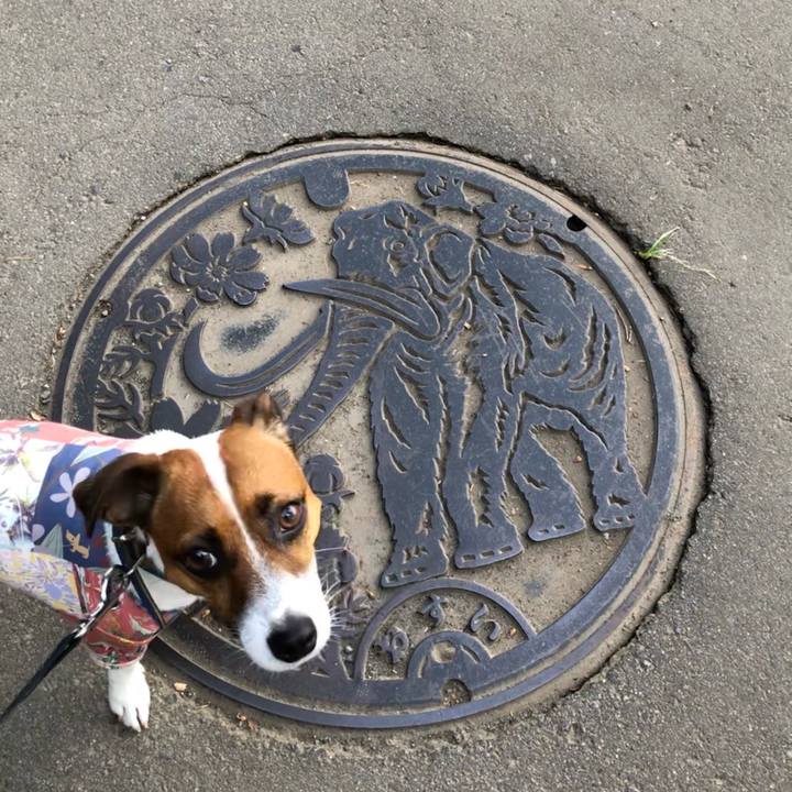 D23704fa 1bfd 4bf4 bc3c 42f148e2931f 1601451666348