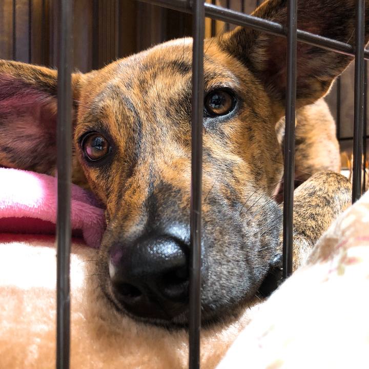 D237663c b490 4fc5 a84f 3f541a0e1b43 1578144696857