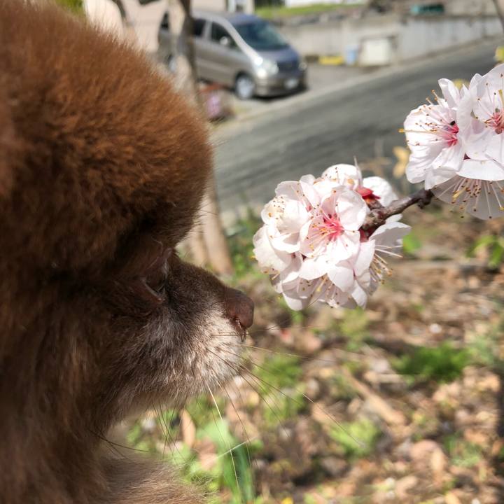 D2377966 a0fa 44cd 8860 072283ba370d 1556858715007