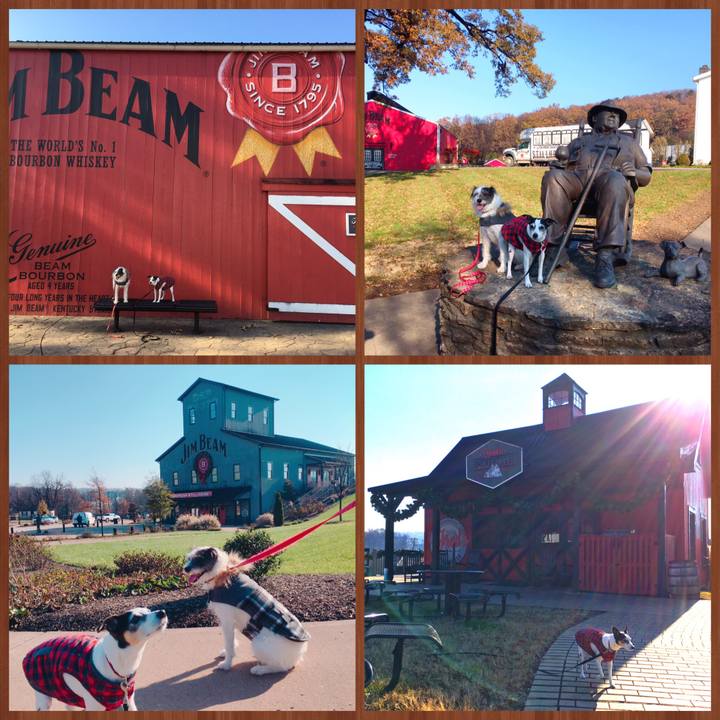 D23788e8 33dd 499e 9368 c5103e41cc04 1543842376205