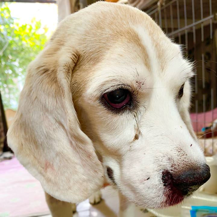 D2379448 627d 4f89 80c0 d75a7ea221b8 1670386812316