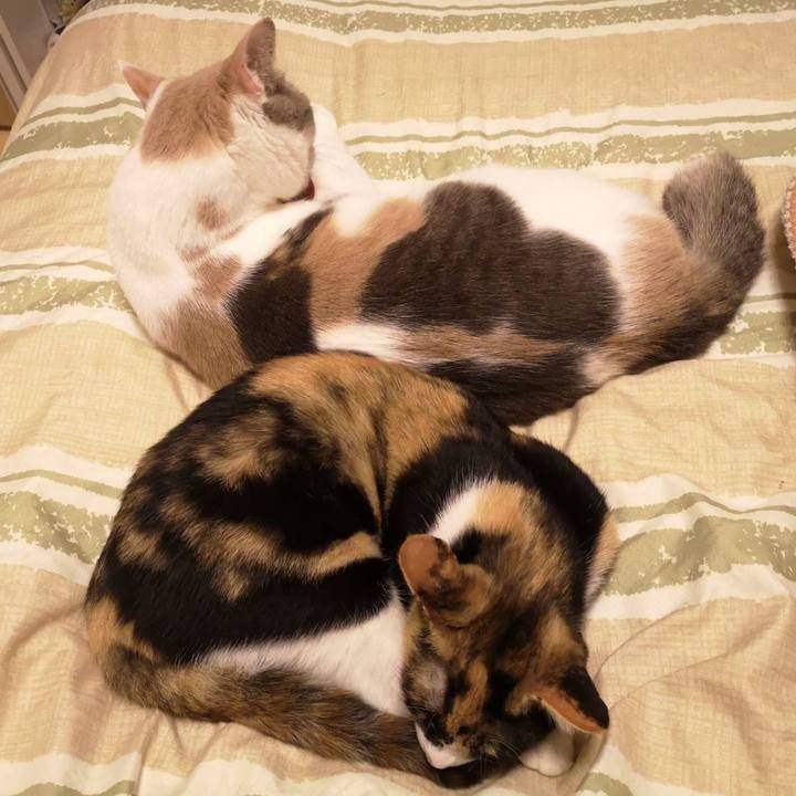 D2379928 1119 4d73 adbe b7a84795d419 1604375606396