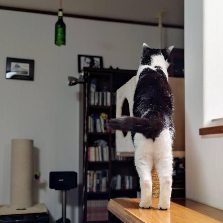 D237b118 2f26 428f 9f78 a6d7ec2a9213 1765113691582