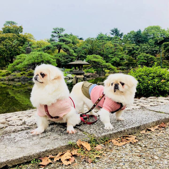 D237bab2 fe8d 47b7 a1ef 18f5807f93d3 1572138463655