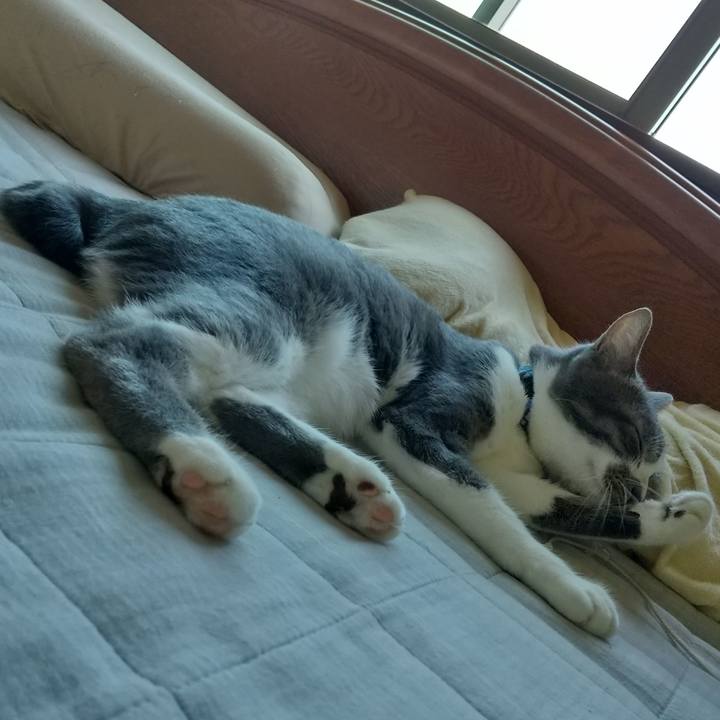 D237bea8 a757 4265 9018 6f9c28103019 1597106818907