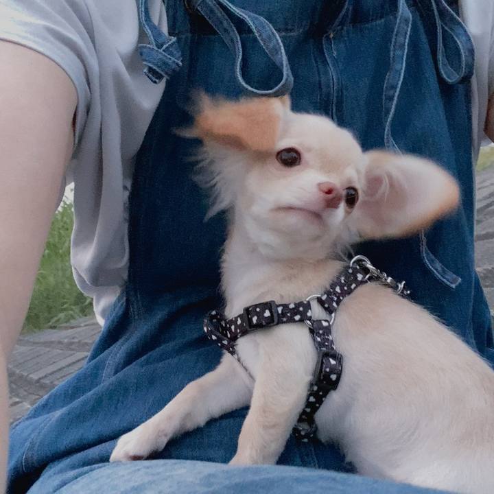 D237d12a 587f 4709 b811 b099eafc70c7 1592659199850