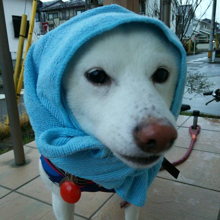 D237e485 0520 453e 8f02 b6feda64de1b 1554888033511