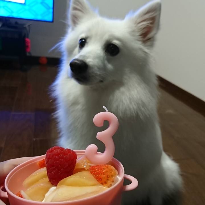 D237f309 02fc 4bea 8749 f208c7a92a72 1567001120278