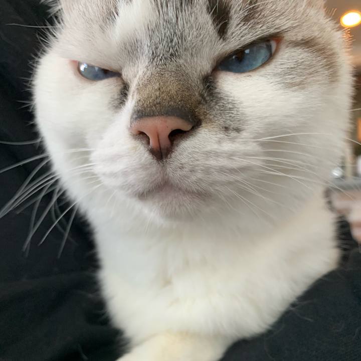 D2381806 b8e5 42c4 af87 209e7606edc8 1645934361126