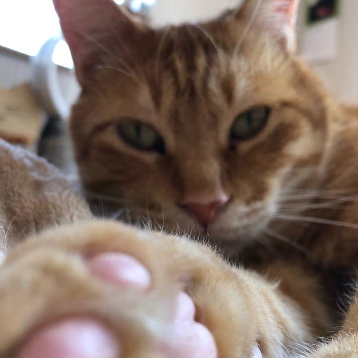 D23832cf 4d40 44fc 9fd8 2938a185343b 1585964726208