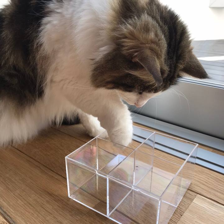 D2383a27 460a 49e4 abab dff28db7098f 1521261118136