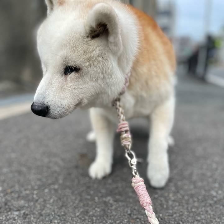 D23851c2 de13 4dc5 8733 58f1f5c1065f 1759503368408