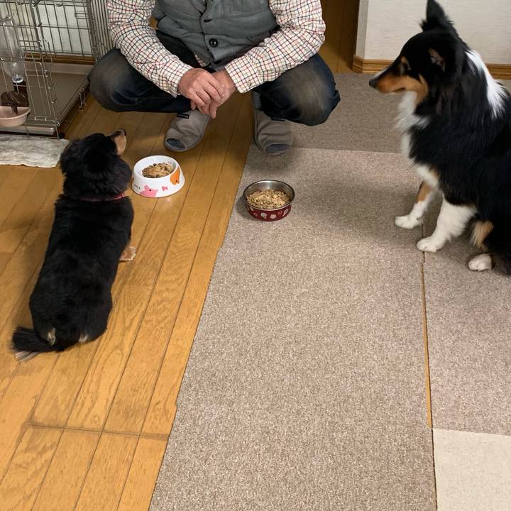 D23891dc cde9 460a a33f edaa332f09b2 1546471120090