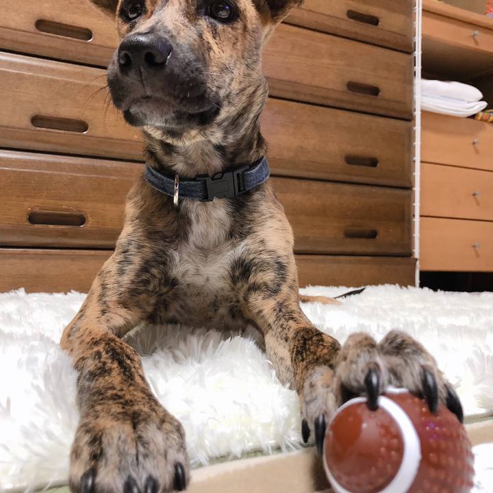 D238aec8 8e14 4cdc a2e7 900d63be9f93 1574255827833