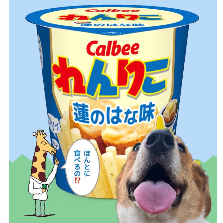 D238bc75 bd50 41a6 bf2b f6b34d0160e9 1635497978014