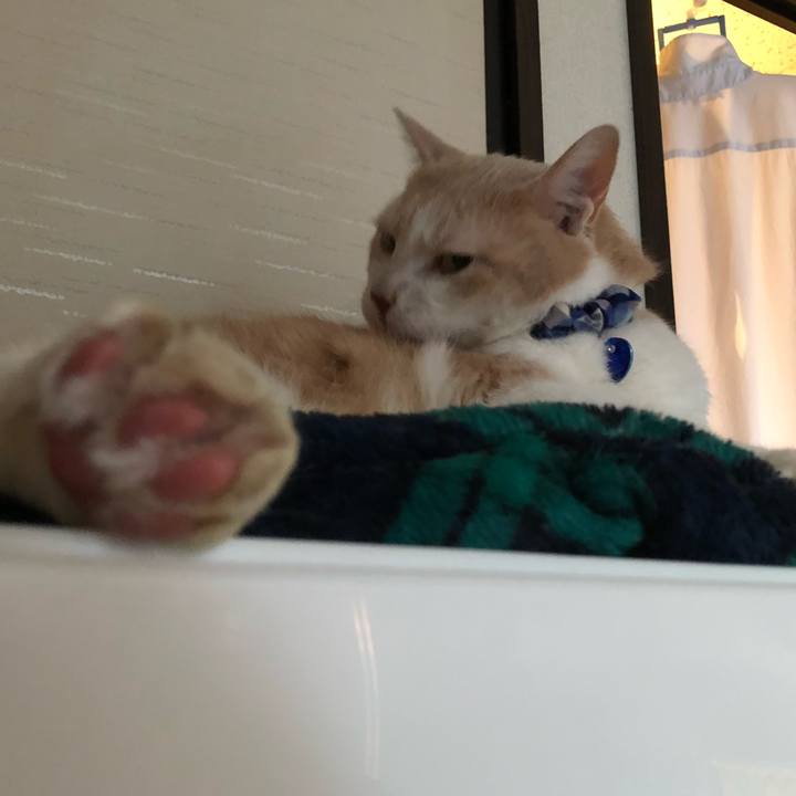 D238e13c 768b 4c10 9ac4 0f215dd1ddcd 1543533602275