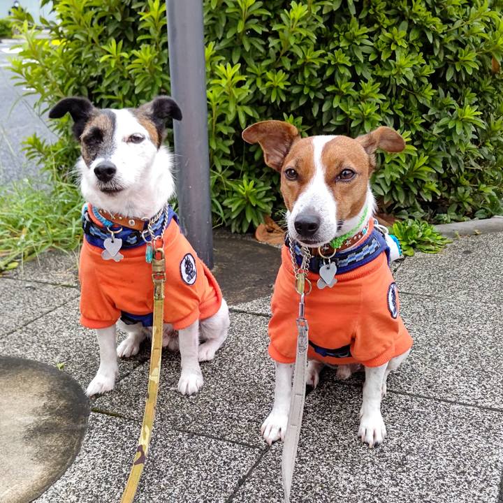 D23932c2 8230 4204 9285 b7b2c7005e37 1629064254099