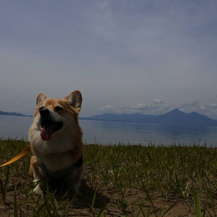 D2393adf f077 4eaf 8dbe 385e12308a74 1685449870943