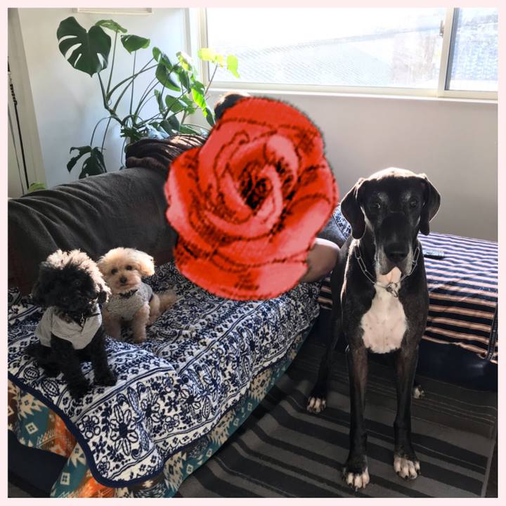 D239462a 3067 4f15 b206 3a6327c45cee 1542667220555