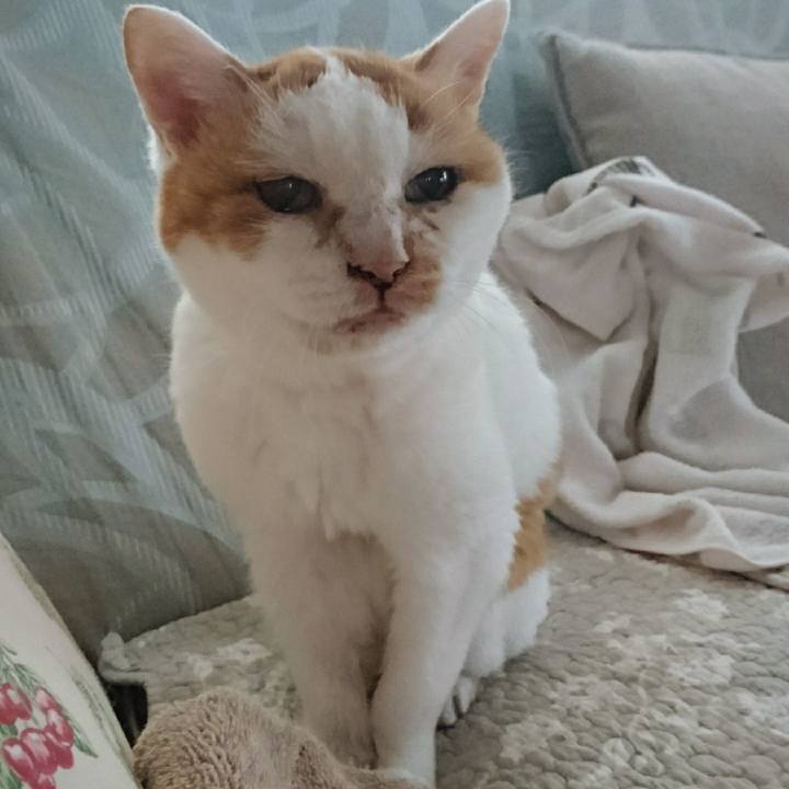 D23968c5 d3fe 4545 ae32 027b4239dcc2 1566078122991