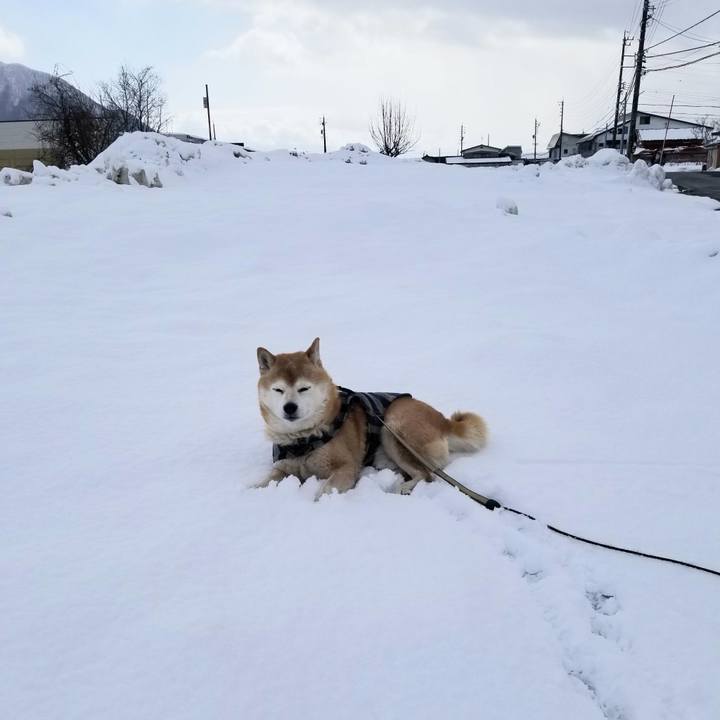 D239737a 2705 40a1 b541 871b9563c784 1675912134623