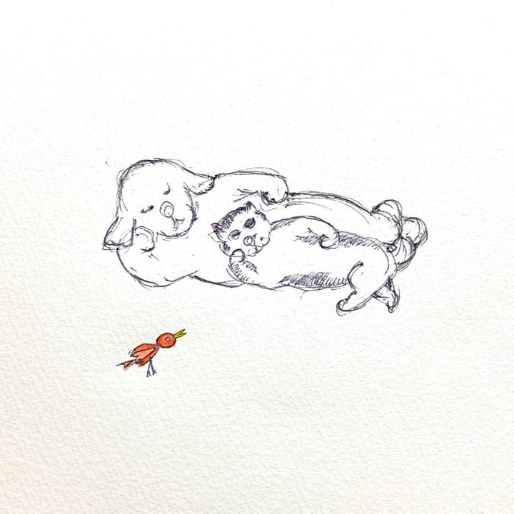 D2398fd4 b42e 417f 96d1 693e98bd5368 1604835808633