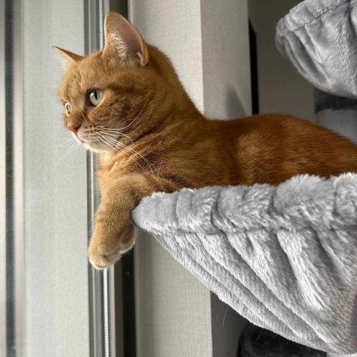 D239ab95 52f3 4b9b 93e6 0bc3ca1abcf5 1705710735717