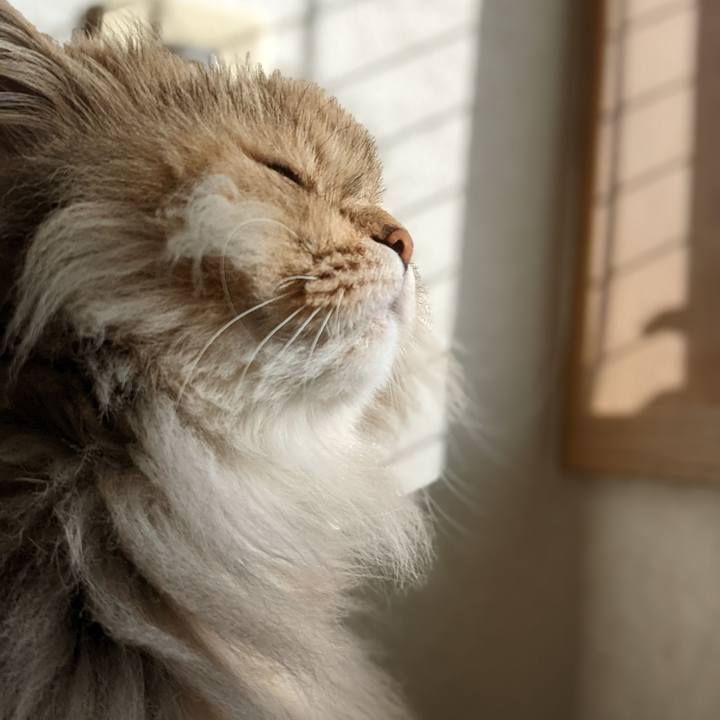 D23a15df c32b 40f3 94d3 90d7e4fe624c 1647820703045