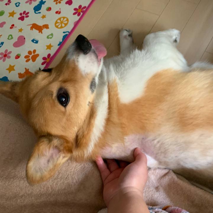 D23a2c51 9463 4a98 a170 85b4d5d155ac 1561515490185