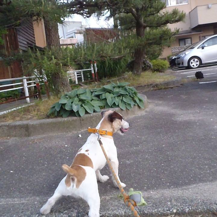 D23aa04f 3fd7 424b a97c aeec086d2cca 1527157316605