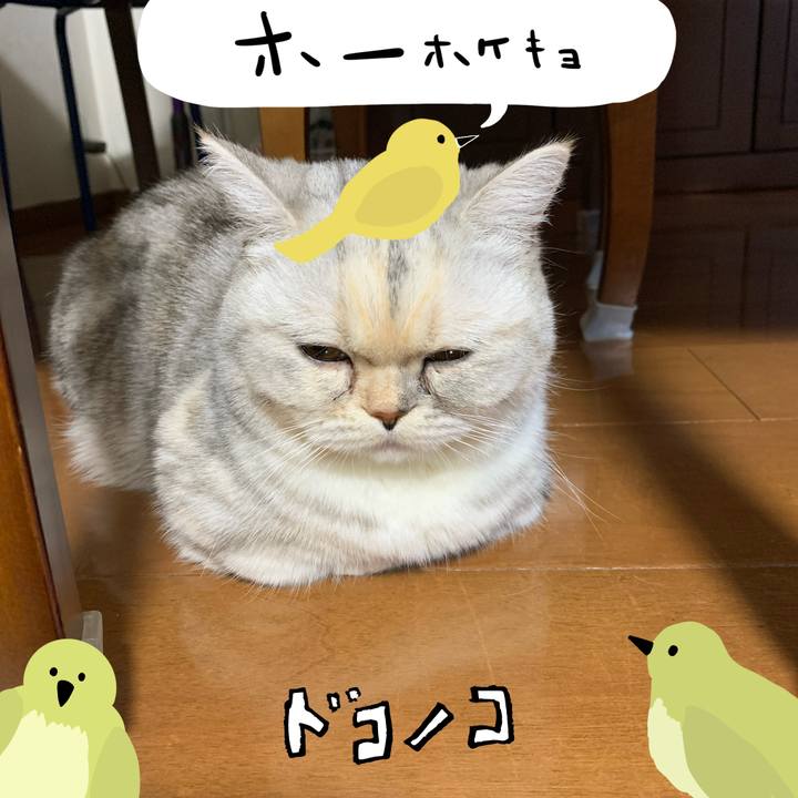 D23aa8c9 c580 4c1c 9fbd cb5b899e49d5 1711011290514