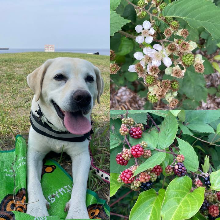 D23acd08 74c6 4d70 8856 e4050977c170 1720562981561