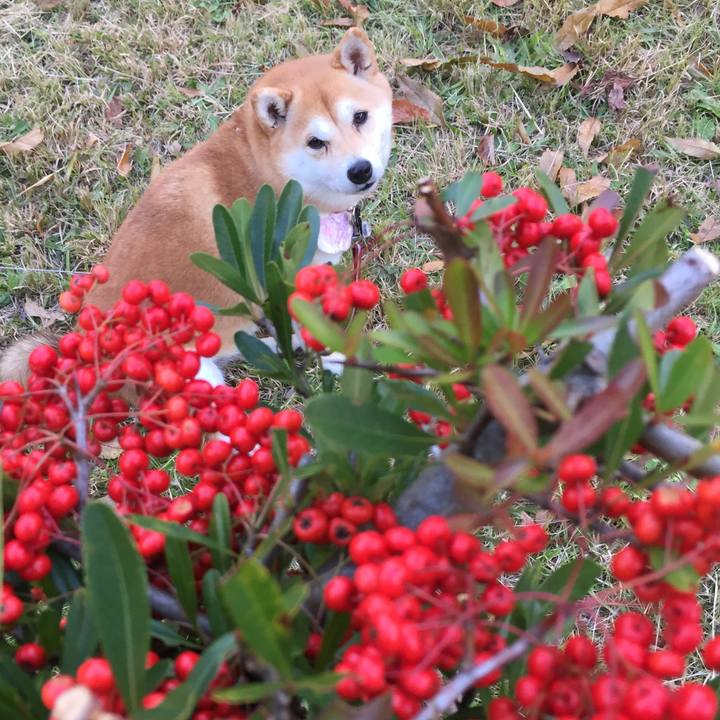 D23ad04d 43d5 409a 9d61 30234813f607 1509799355559