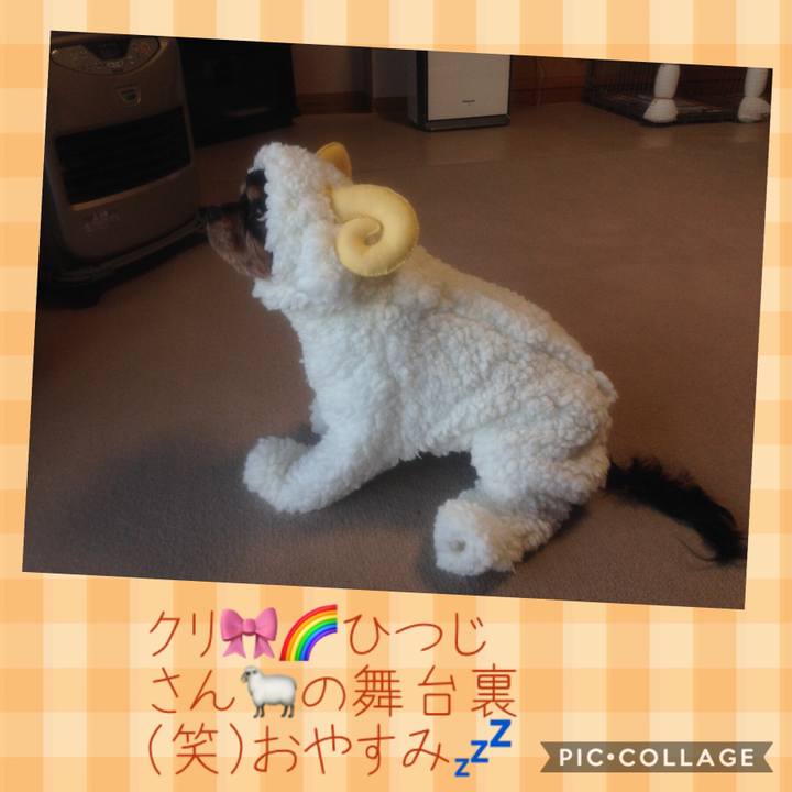 D23aeab5 e45c 4fd1 a291 4692ee2b9156 1541690117123