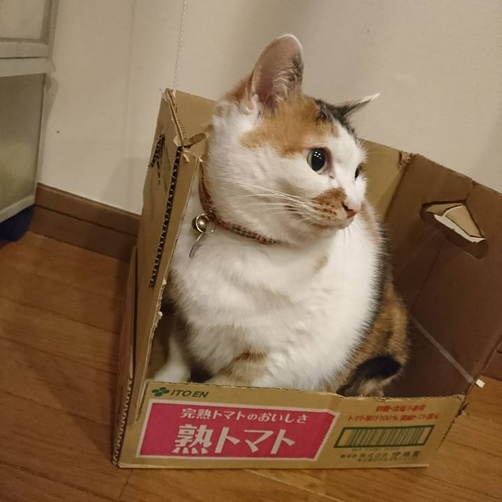 D23aef47 c421 46cf 86ca beafd3bdd2db 1542377703051