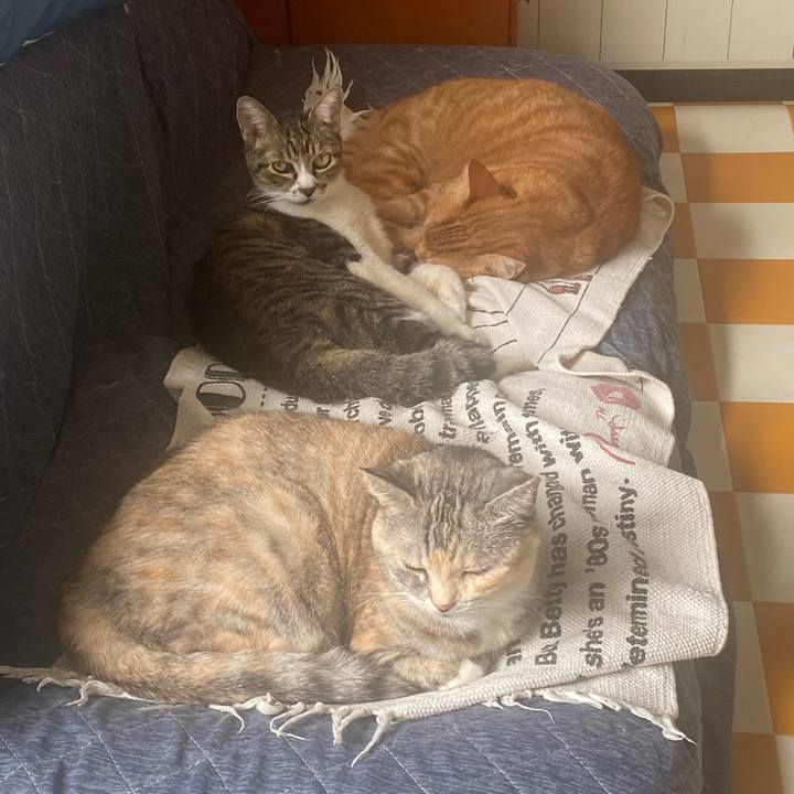 D23b46dd 4d65 44b2 bbe3 4c932a5158bb 1694226244744