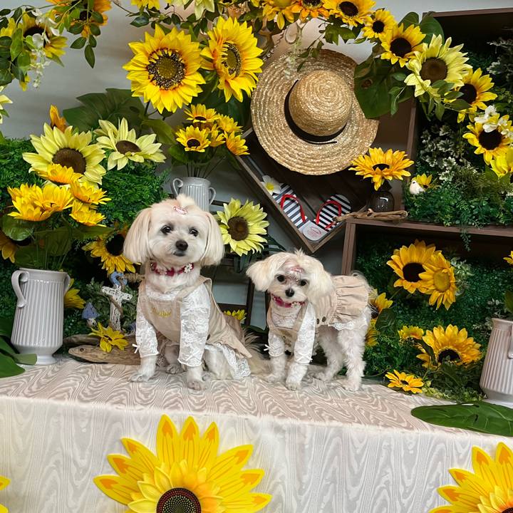 D23b62f3 9553 4ebe aa85 6084d96b34c5 1725433020248