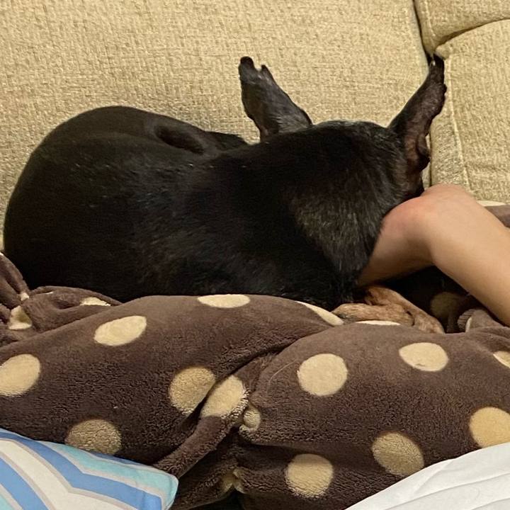 D23b7e66 0d8b 4f0c 9ad7 85f53f9fa3eb 1590916165720