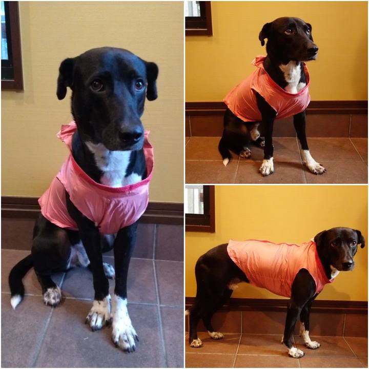 D23bdf2e ea6f 45cd 9d17 1eec20fa9441 1591320390548