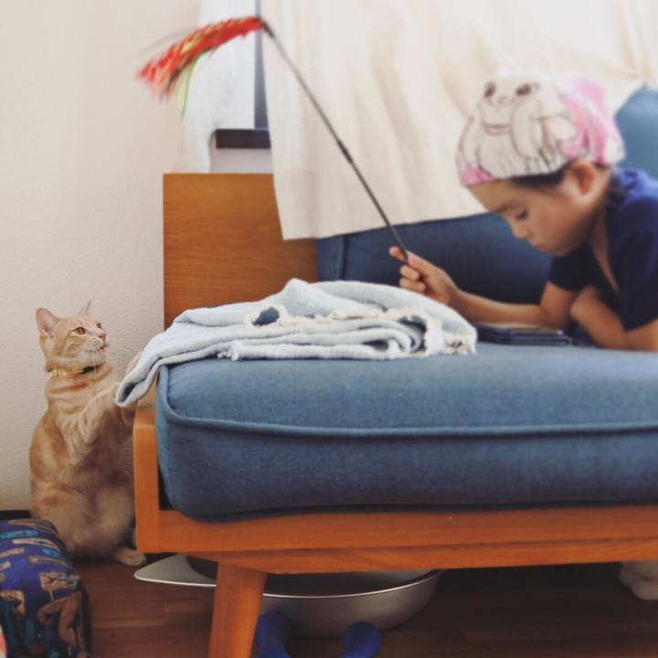 D23be620 d6c8 478c bf33 db7c278725c6 1566734443858