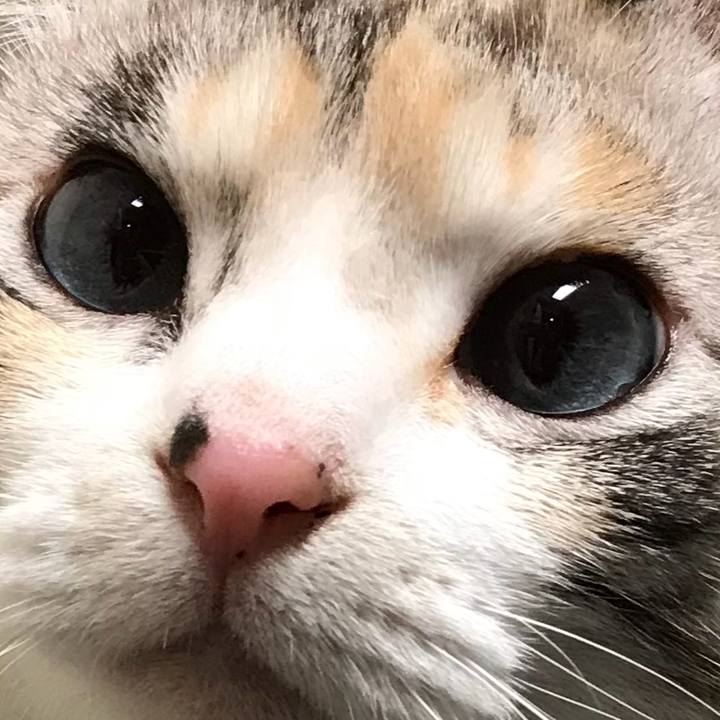 D23c8de5 9b6f 4e92 90ed b692e37d4d27 1520914268718