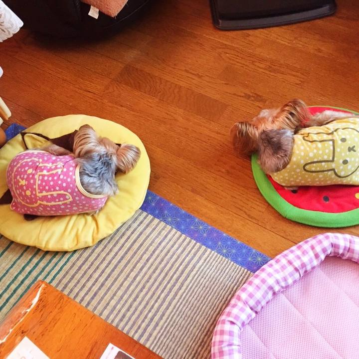 D23ccae0 f2d6 425c 8ff6 bf240b19abd2 1536811913029