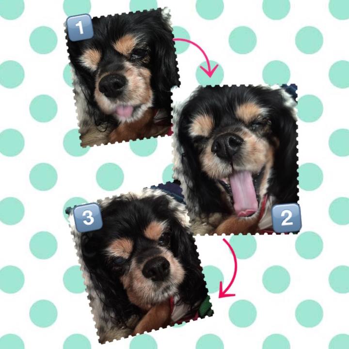 D23cd6ea d9f4 433e b85e 7f9060251f26 1509859392509