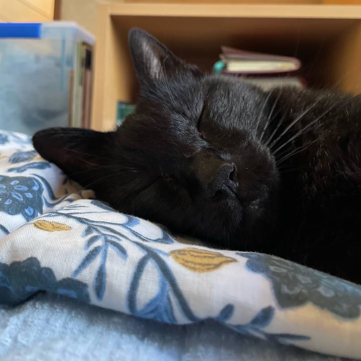 D23cfa59 b926 4b95 b54c 2d19a7783b12 1661732869195