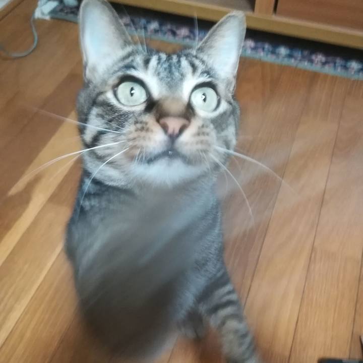 D23d1b09 4137 40de a074 524b8fe4b46b 1531734960615