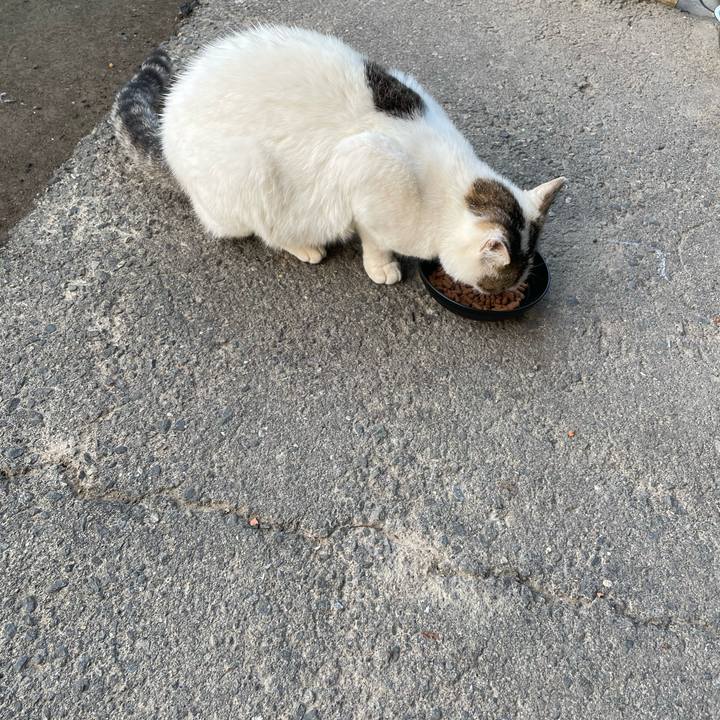 D23d4749 ebcf 4880 82eb ac1503be873c 1652819091301