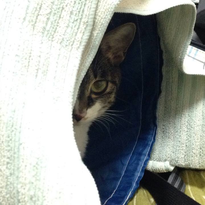 D23d48dd 4aed 455c bc1c d55fbdc58894 1510142898452