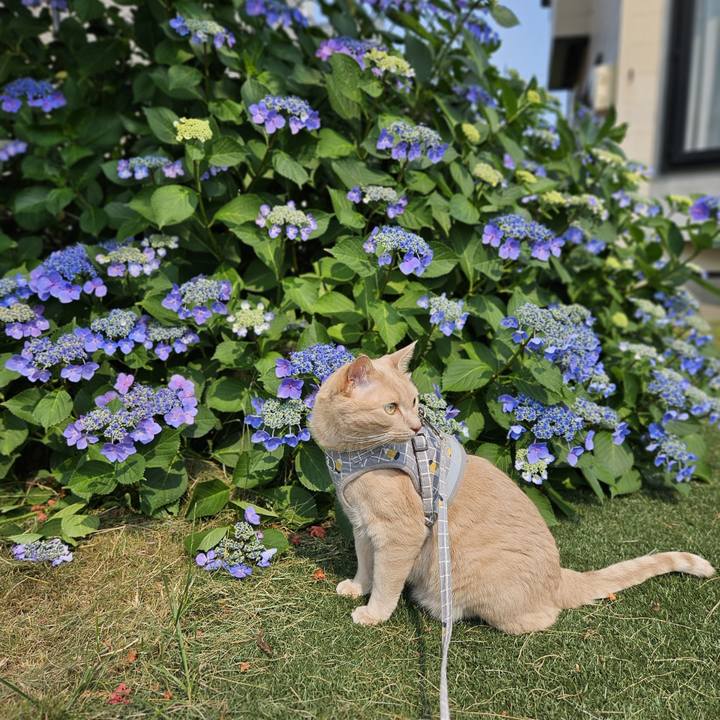 D23d5f56 005e 45b0 8650 13ab9ba7aef9 1721001990879